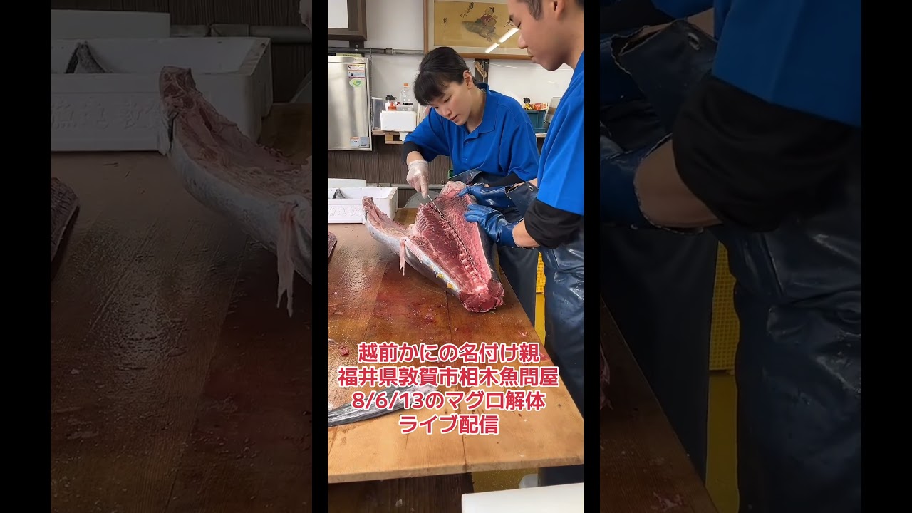 #激安  #魚屋　#市場散歩 #相木魚問屋　2026/6/13の市場 #おすすめ #いいね下さい #仕入れ #敦賀 #さばき方