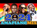 Afrobeat mix 2024  latest amapiano naija mix shalipopi