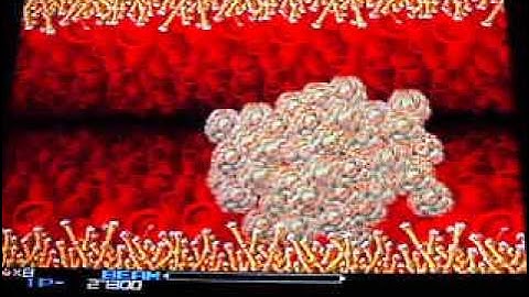 Glitch-172 plays some r-type dimensions