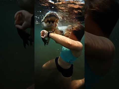 Alligator attacked on a 27 year old woman in Florida #breakingnews#animalattacks #realstory#fyp