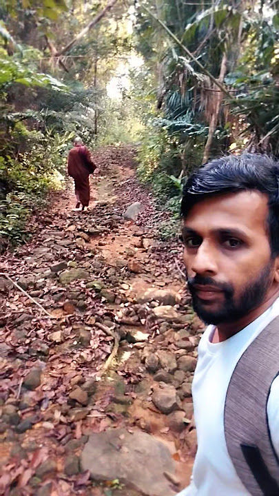 පිඩුසිගා වඩිමින්🙏🙏, 'Noble sons of the Buddha walked for alms through the forest.'  #buddhist_monk