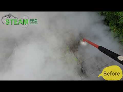 A natural and ecological way to remove weed and plants using steam