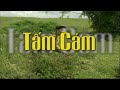 Tấm Cám Full HD | Phim Việt Nam Mới Hay Hơn Tấm Cám Chuyện Chưa Kể