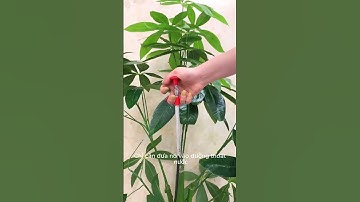 Dây lò xo gắp rác, kẹp gắp rác thông tắc cống, thông tắc bồn cầu dạng đầu kẹp đa năng.