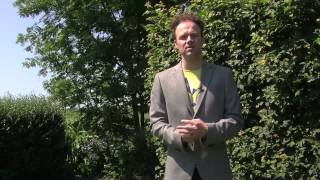 Belastingvoordeel Koopwoning Ook Voor Belgen In Nederland