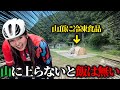 【1週間】毎日山に上らないと飯が食えない生活やってみた