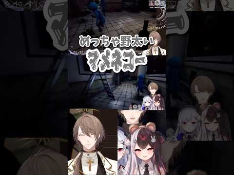まめねこ（仮）の群れに遭遇するSMC組【Zort】 #加賀美ハヤト #夜見れな #葉加瀬冬雪 #smc組 #にじさんじ #にじさんじ切り抜き