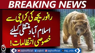 Karachi Prepares Rano Bear&rsquo;s Transfer to Islamabad and Gilgit - Pakistan news