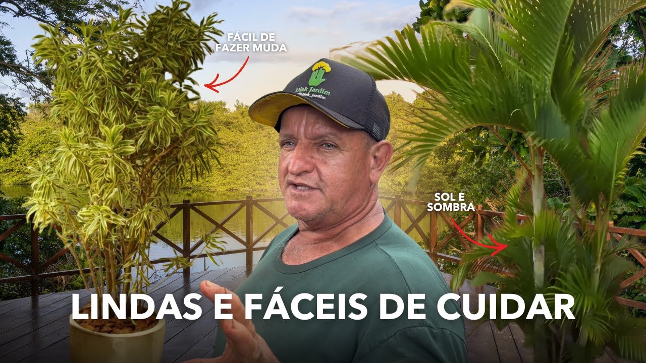 MELHORES PLANTAS PARA COLOCAR NO SEU QUINTAL / AREA DE LAZER