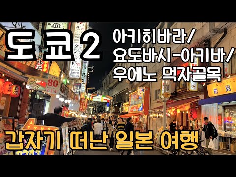 137. 갑자기 떠난 여행 / 아키히바라 우에노먹자골목 요도바시아키바 한인타운/ 일본 도쿄 [KR/ENG/SPA SUB]
