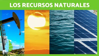 ¿Qué son los RECURSOS NATURALES? ☀️💧 (Definición, Clasificación y Ejemplos)