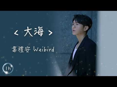 韋禮安 Weibird 《 大海 》｜♾️一小時循環播放1 Hour Loop♾️｜張雨生