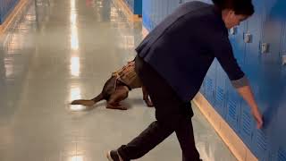 Rieks lockers narcotics detection training
