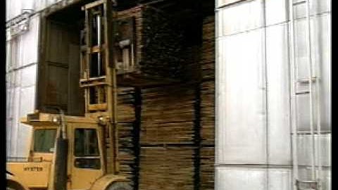 Wood and Moisture - video 1