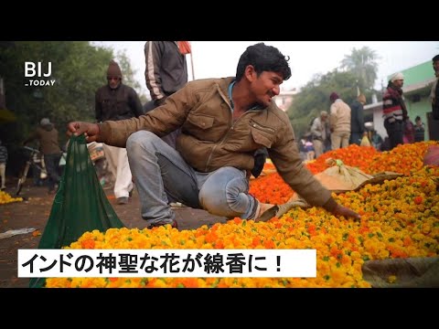 神聖な花が線香に フラワーサイクルで雇用を生み出すインドの会社 Youtube