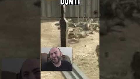 Swiftor Says Too Late #Shorts