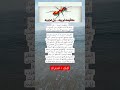 معلومة غريبة… لماذا لا تنبت حبوب النمل تحت الأرض؟ 😳🐜 السر في الكسر
