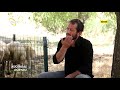 Akkarman ve Kangal Irkı Koyunların Farkları - Küçükbaş Dünyası / Çiftçi TV