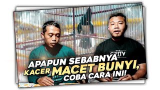 Kacer Macet Bunyi? Coba Sembuhkan dengan Cara Ini!