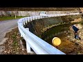 道路脇の小さな川を覗いてみる、その光景に驚いた!