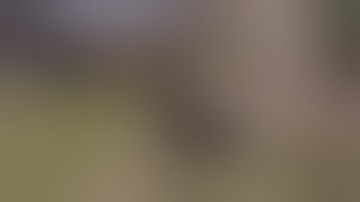 Crossout Tusk build under 6k PS