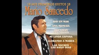 Video thumbnail of "Mario Saucedo - Una Moneda"