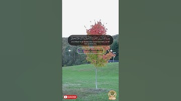أروع تلاوات القرآن الكريم
