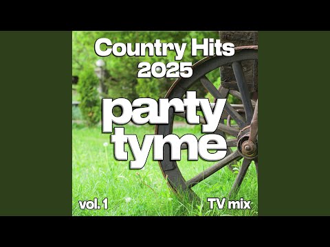 What He'll Never Have (TV mix)