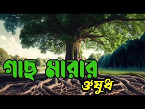 ভিডিও: কিভাবে বিষ আইভি মারবেন?