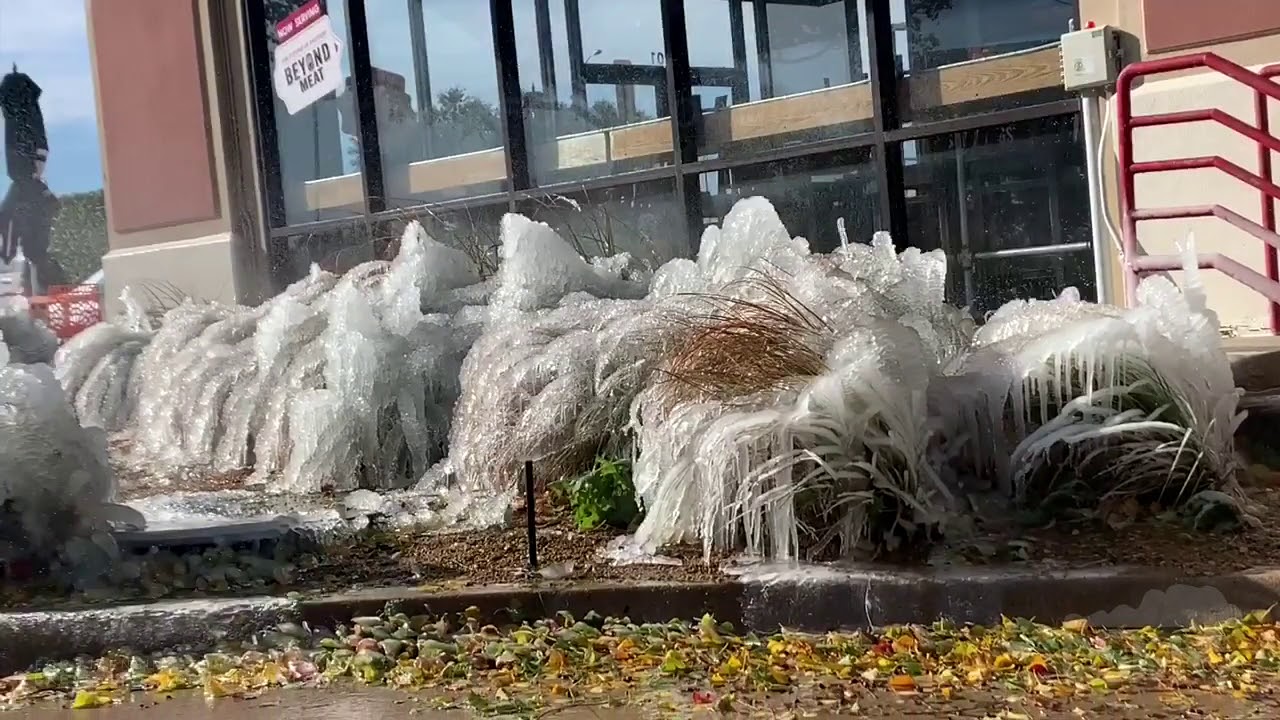 111219 Dallas, TX Deep Freeze, Frozen Garden Sprinklers YouTube