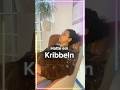 😍PURE ENTSPANNUNG erleben — Erstes Mal auf der PAUSE M2 Massage-Sessel