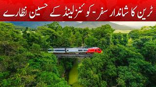Springfield Centre to Downtown Queensland by Train | Amazing Travel Views | Khabarwalay