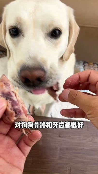 the-duck-leg-bones-soaked-in-fish-oil-are-soft-tender-nutritious-and