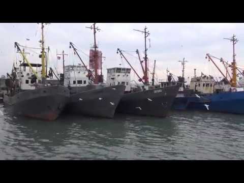 თევზაობის ერთი დღე