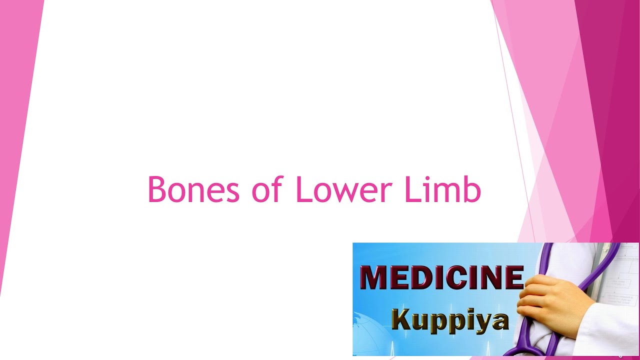 Bones of Lower Limb Sinhala Presentation