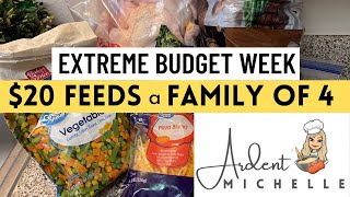 7 MEALS for $20 | FEED A FAMILY OF 4
