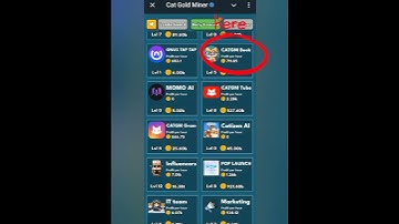 CAT GOLD MINER DAILY COMBO TODAY 6 NOVEMBER | 6 NOVEMBER CATGM DAILY TREASURE TODAY