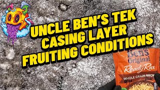 Uncle Bens Tek Casing Layer & Fruiting Conditions - S2 EP2