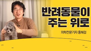 [홍혜걸쇼]반려동물이 주는 위로, 부산 라이브 / 의학전문기자 홍혜걸