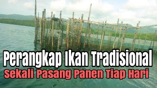 Review Perangkap Ikan Tradisional || Sekali Pasang Tiap Hari Panen