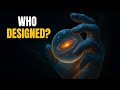 Who Designed The Universe Why It Feels Intelligently Crafted Who Designed The Universe Why It Feels Intelligently Crafted