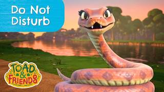 Do Not Disturb 🐍 | Toad & Friends Full Episode | Mental Health Awareness Cartoons