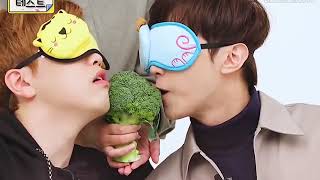 B1A4 - Dingo Test [17.09.29] (Eng Sub)