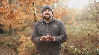 How to Plant Young Bareroot Trees - Future Forests Ireland Whips Tutorial