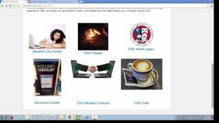 CDU Canvas Orientation
