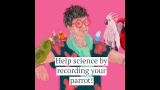 Do You Know A Parrot That Talks Or Sings?