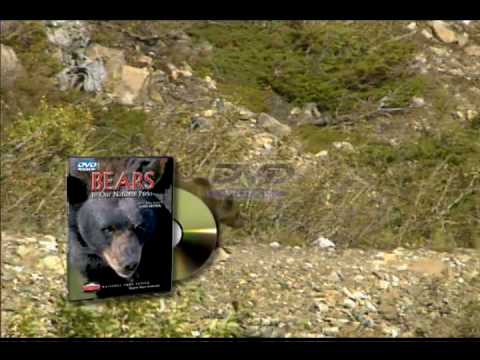 Bears of Our National Parks DVD