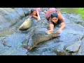 women Catch big Catfish in water  for food  - Cooking Catfish   Eating Delicious - Village Cooking