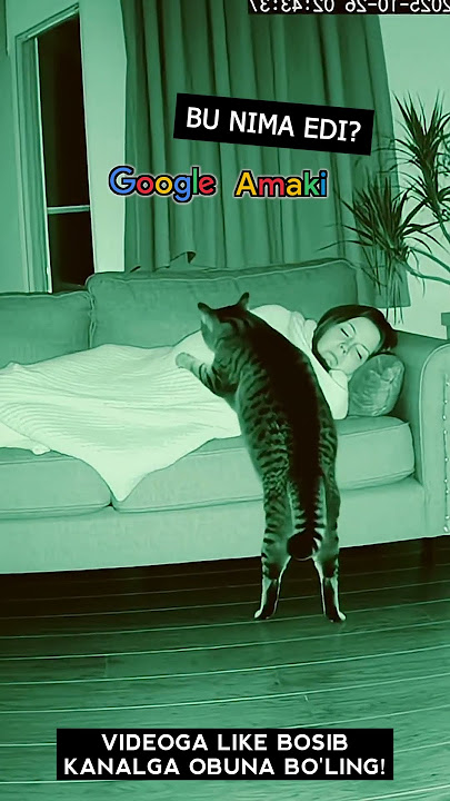 Porno HD lezbiyenler pussies ishqalab Chol va semiz ayol porno