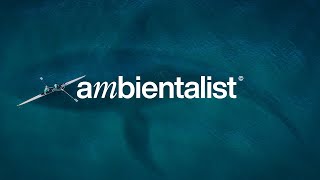 The Ambientalist - Over The Edge